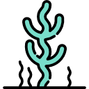 coral icon