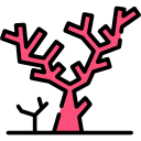 coral icon