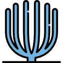 coral icon