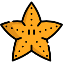 estrella de mar icon