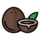 coco icon