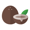 coco icon