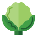 coliflor icon