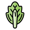 repollo icon