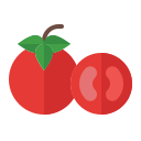 tomate icon