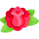 rosa icon