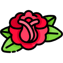 rosa