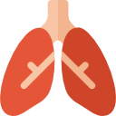 pulmones