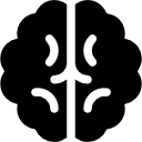 cerebro icon