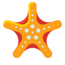 estrella de mar 