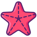 estrella de mar 