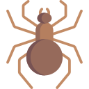 araña icon