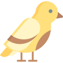 pájaro icon