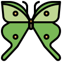 mariposa icon