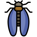 cigarra icon