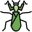 mantis icon