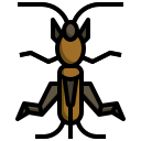 insecto hoja icon