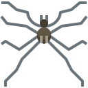 araña