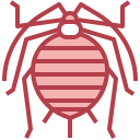 aphididae icon