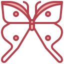 mariposa icon