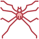 araña icon