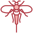 mosca de la fruta icon