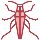 saltamontes icon