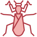 mantis icon