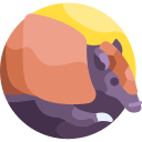 armadillo icon