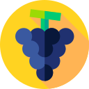 uvas icon