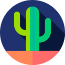 cactus icon