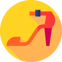 zapatos icon