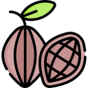 grano de cacao icon