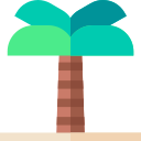 palmera icon