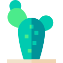 cactus icon