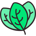 hoja de arbol icon