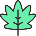 hoja icon