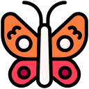 mariposa 