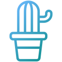 cactus icon