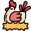 pollo icon