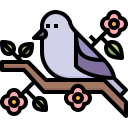 pájaro icon