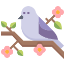 pájaro icon