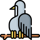 pájaro icon