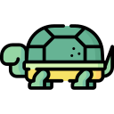 tortuga icon