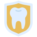 seguro dental icon