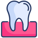 Tooth 