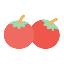 tomate icon