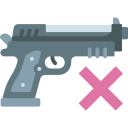 pistola icon