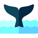 ballena icon