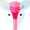 armadillo icon